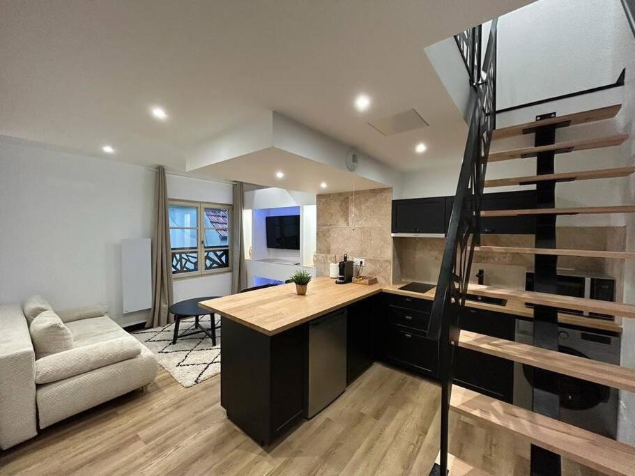 Le Darcy, Grand Appartement Centre Ville Dijon, Proche Gare Exterior foto