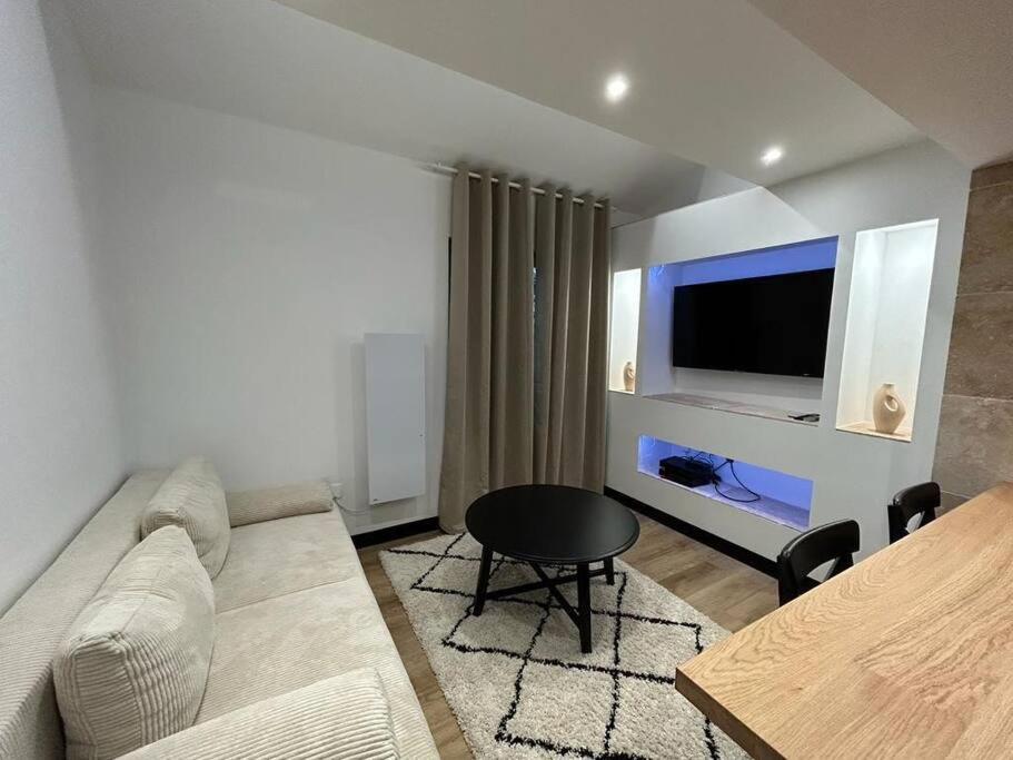 Le Darcy, Grand Appartement Centre Ville Dijon, Proche Gare Exterior foto